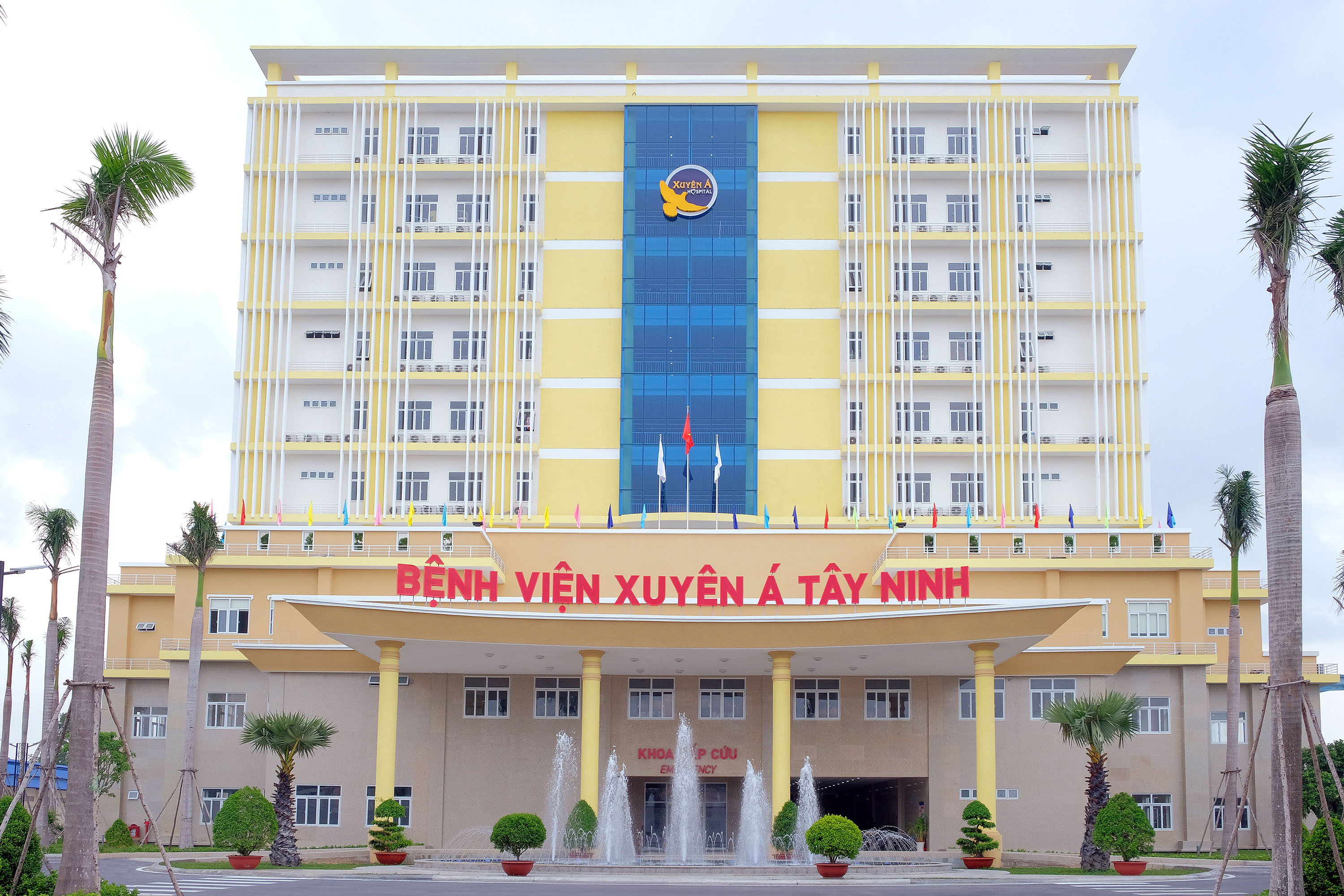 Ảnh tiêu biểu