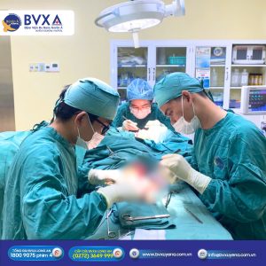 Hình ảnh ekip phẫu thuật