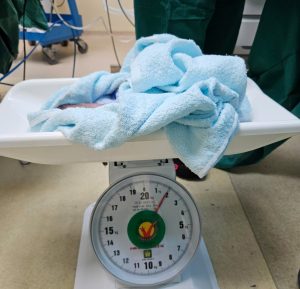 Em bé thứ hai với cân nặng 1.600gram