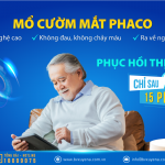 PHẪU THUẬT PHACO ĐIỀU TRỊ ĐỤC THỦY TINH THỂ – CẢI THIỆN THỊ LỰC AN TOÀN, HIỆU QUẢ