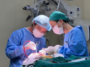 Hình ảnh ekip phẫu thuật cho bệnh nhân có khối u não ở vị trí thái dương