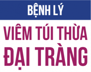 Bệnh lý viêm túi thừa đại tràng