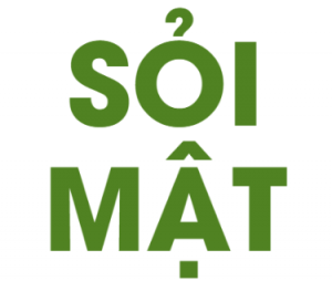 Bệnh lý sỏi mật