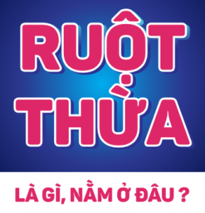 Ruột thừa là gì? Nằm ở đâu?