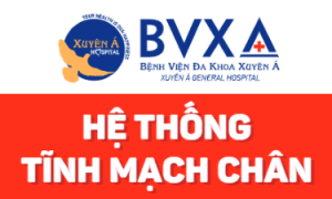 Hệ thống tĩnh mạch chân