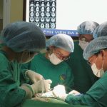 XƯƠNG MỎM TRÂM THÁI DƯƠNG DÀI BẤT THƯỜNG – NGUYÊN NHÂN ÍT GẶP GÂY RA TÌNH TRẠNG VƯỚNG HỌNG, NUỐT VƯỚNG