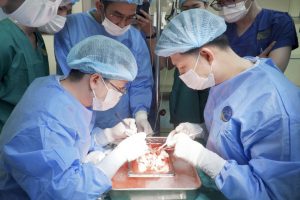 Hình ảnh ekip bóc tách mạch máu thận trước khi ghép thận