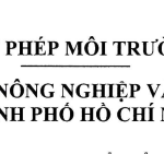 GIẤY PHÉP MÔI TRƯỜNG – XUYÊN Á TP. HỒ CHÍ MINH